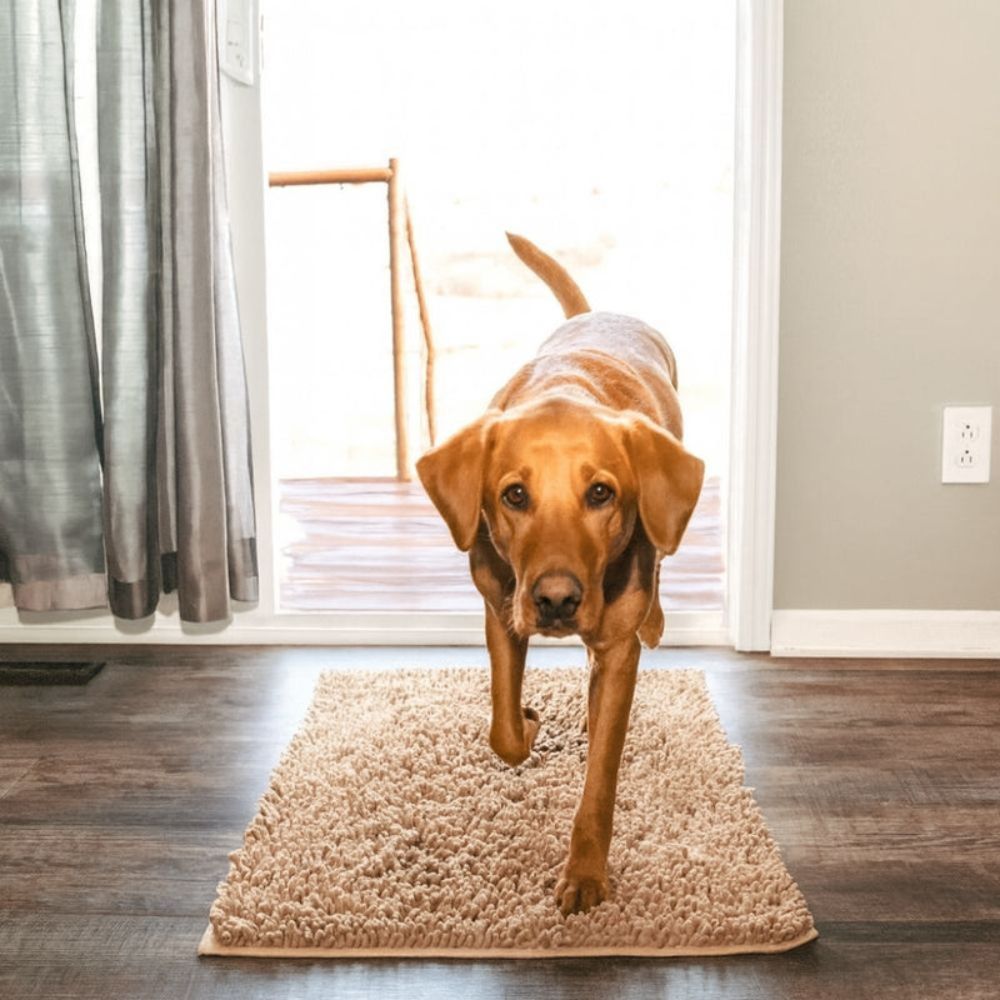 Tapis ultra absorbant pour pattes de chien