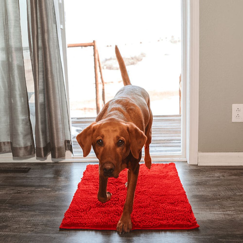 Tapis ultra absorbant pour pattes de chien