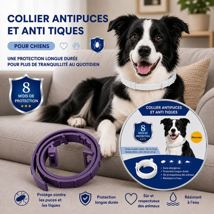 PetProtect™ | Collier antiparasitaire naturel contre puces, tiques et moustiques • Protection jusqu’à 8 mois