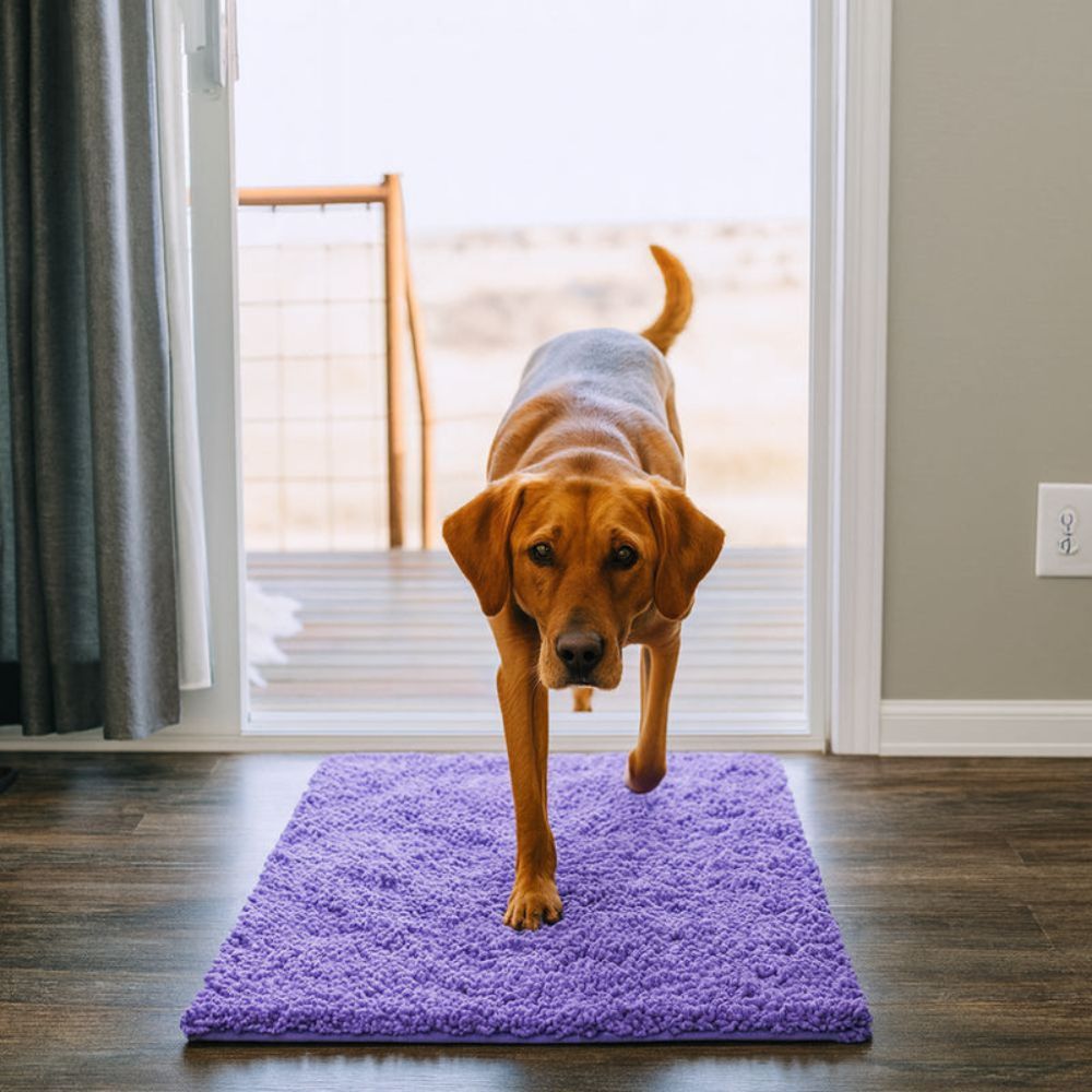 Tapis ultra absorbant pour pattes de chien