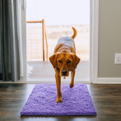 Tapis ultra absorbant pour pattes de chien