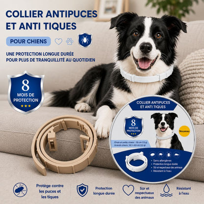 PetProtect™ | Collier antiparasitaire naturel contre puces, tiques et moustiques • Protection jusqu’à 8 mois