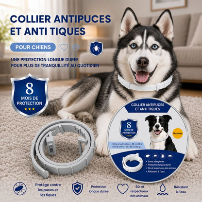 PetProtect™ | Collier antiparasitaire naturel contre puces, tiques et moustiques • Protection jusqu’à 8 mois