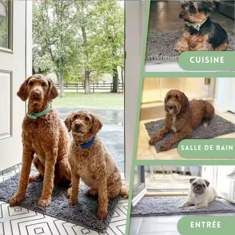 Tapis ultra absorbant pour pattes de chien
