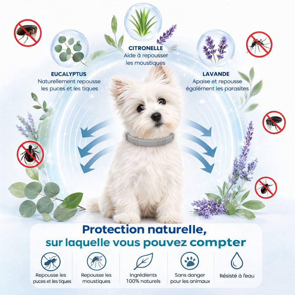 COLLIER NATUREL ANTI PUCES, TIQUES ET MOUSTIQUES